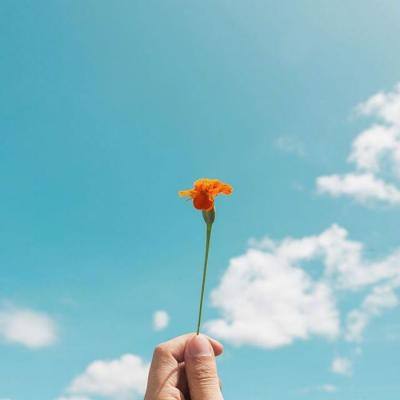 b体育手机版官网最新版本下载手机app下载